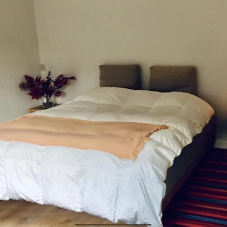 Harpotel Bed & Breakfast